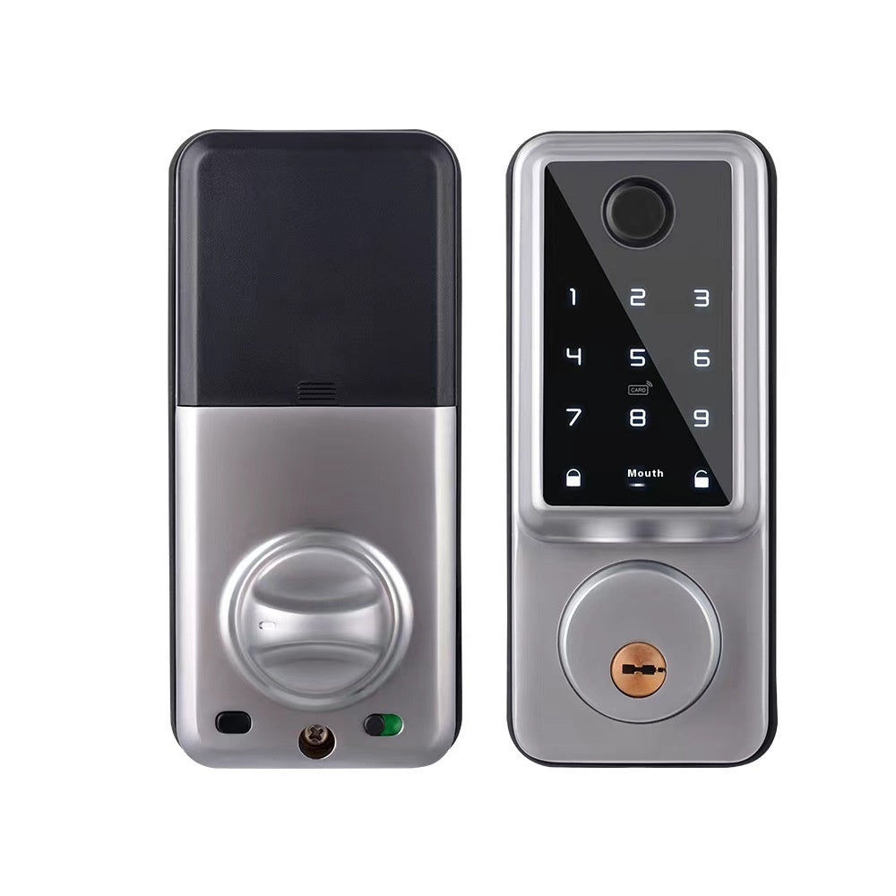 Graffiti Wifi Smart Door Lock Remote Fingerprint Password