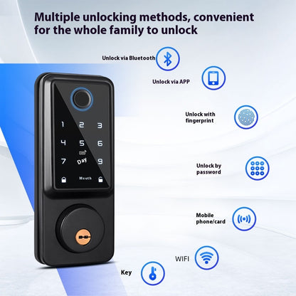 Graffiti Wifi Smart Door Lock Remote Fingerprint Password