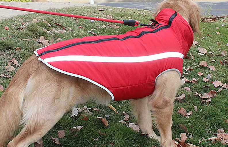 Thickened dog clothes windproof pet jacket