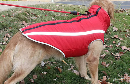 Thickened dog clothes windproof pet jacket