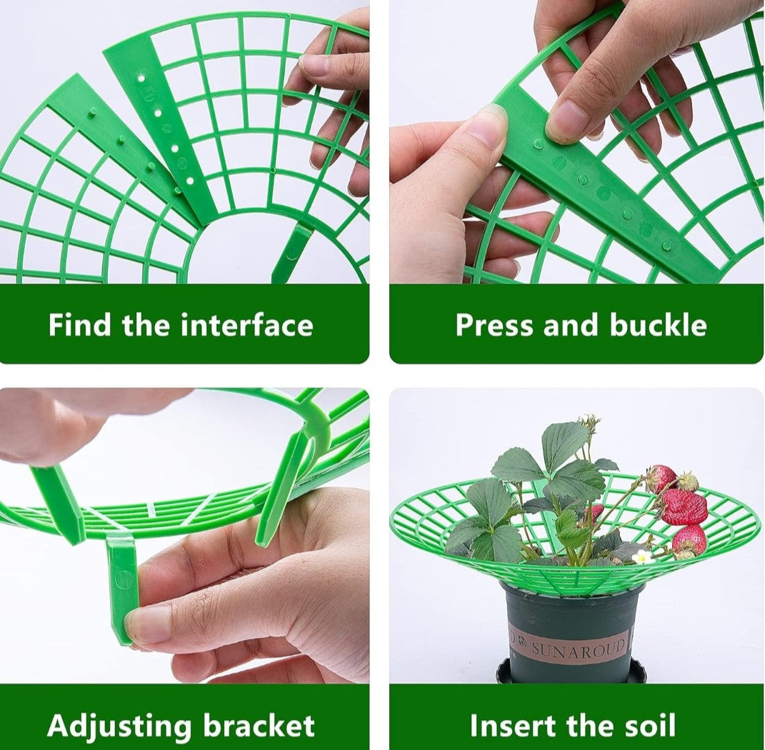 10 Pack Strawbery Growing Stand. Ensure a bountiful strawberry harvest with these essential growing stands today!