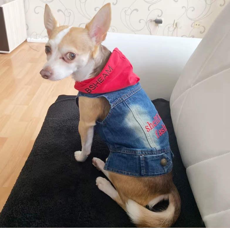 Designer Dog Clothes Small Dog Denim Jacket Coat Cat Costume Puppy Jeans Vest Spring Clothing