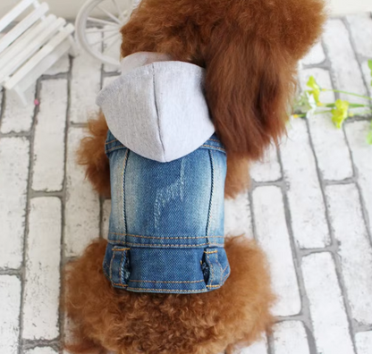 Designer Dog Clothes Small Dog Denim Jacket Coat Cat Costume Puppy Jeans Vest Spring Clothing