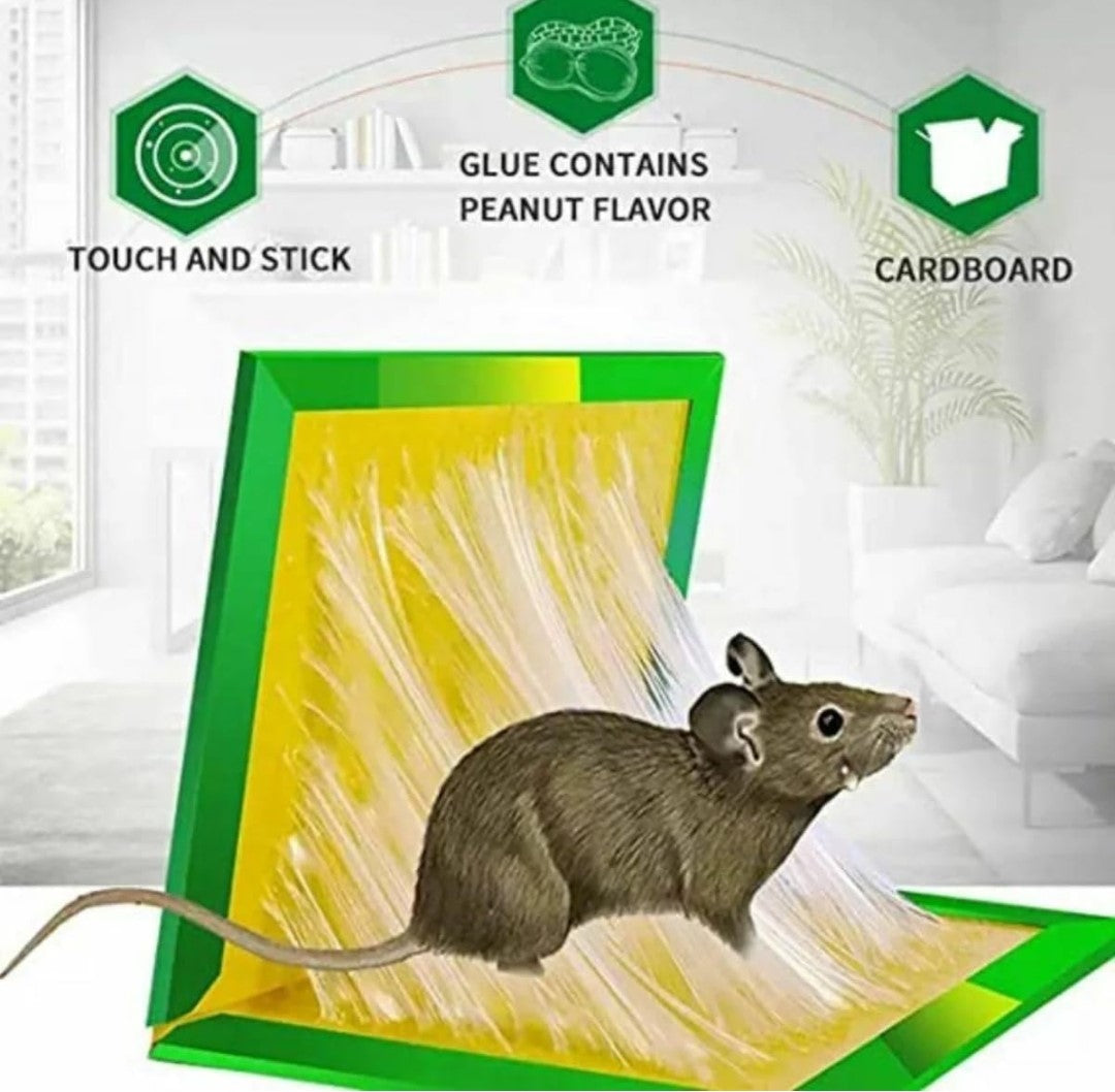 Mouse and Rat Glue Board 7 pcs. Reclaim your home from unwanted visitors and enjoy a pest-free environment!