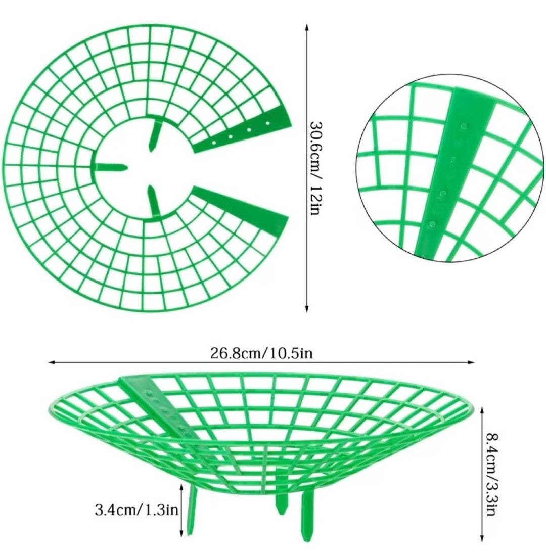 10 Pack Strawbery Growing Stand. Ensure a bountiful strawberry harvest with these essential growing stands today!