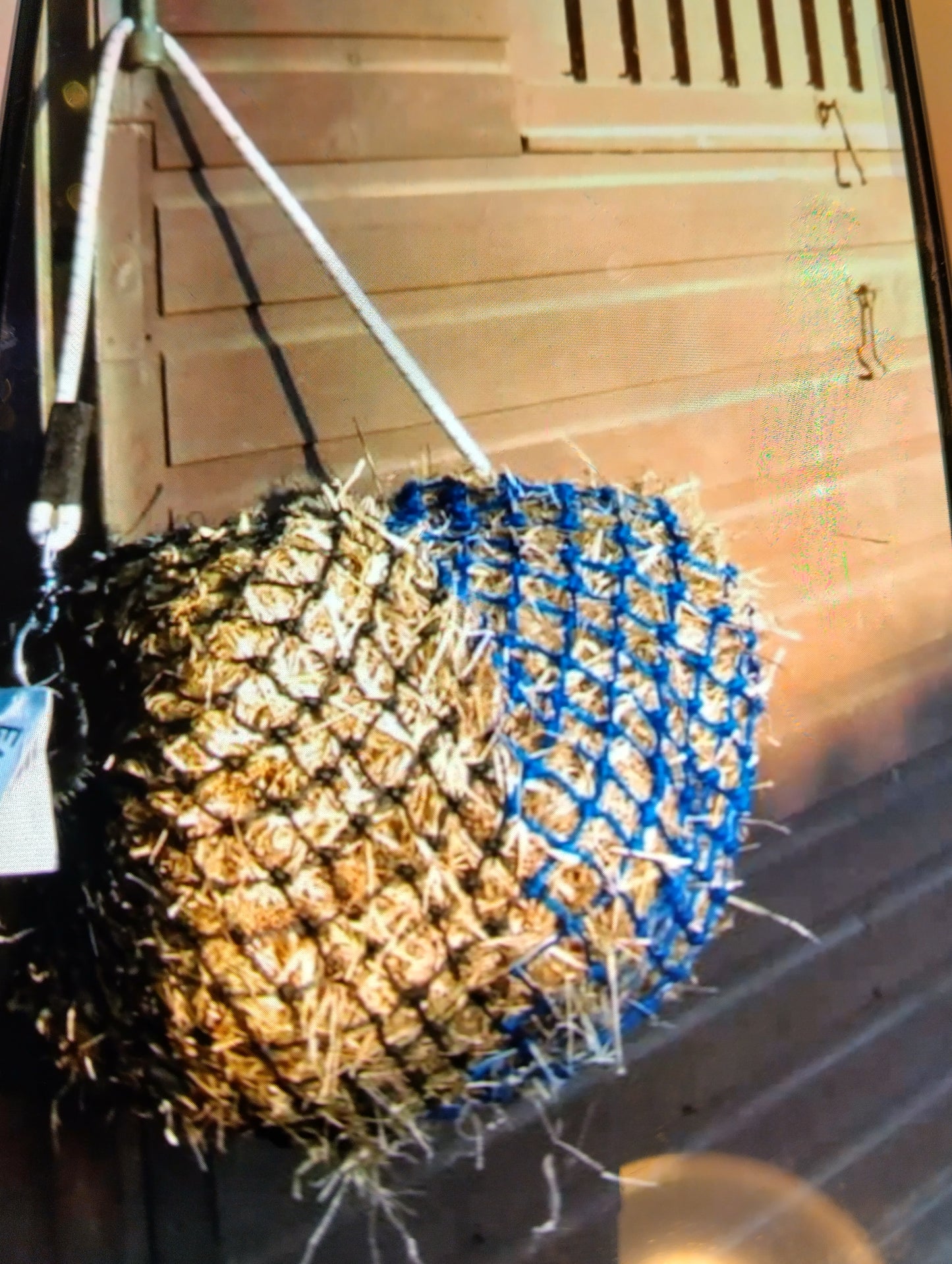 Easy-Net Greedy Feeder. 36 inch. Upgrade your feeding setup with the Easy-Net Greedy Feeder.