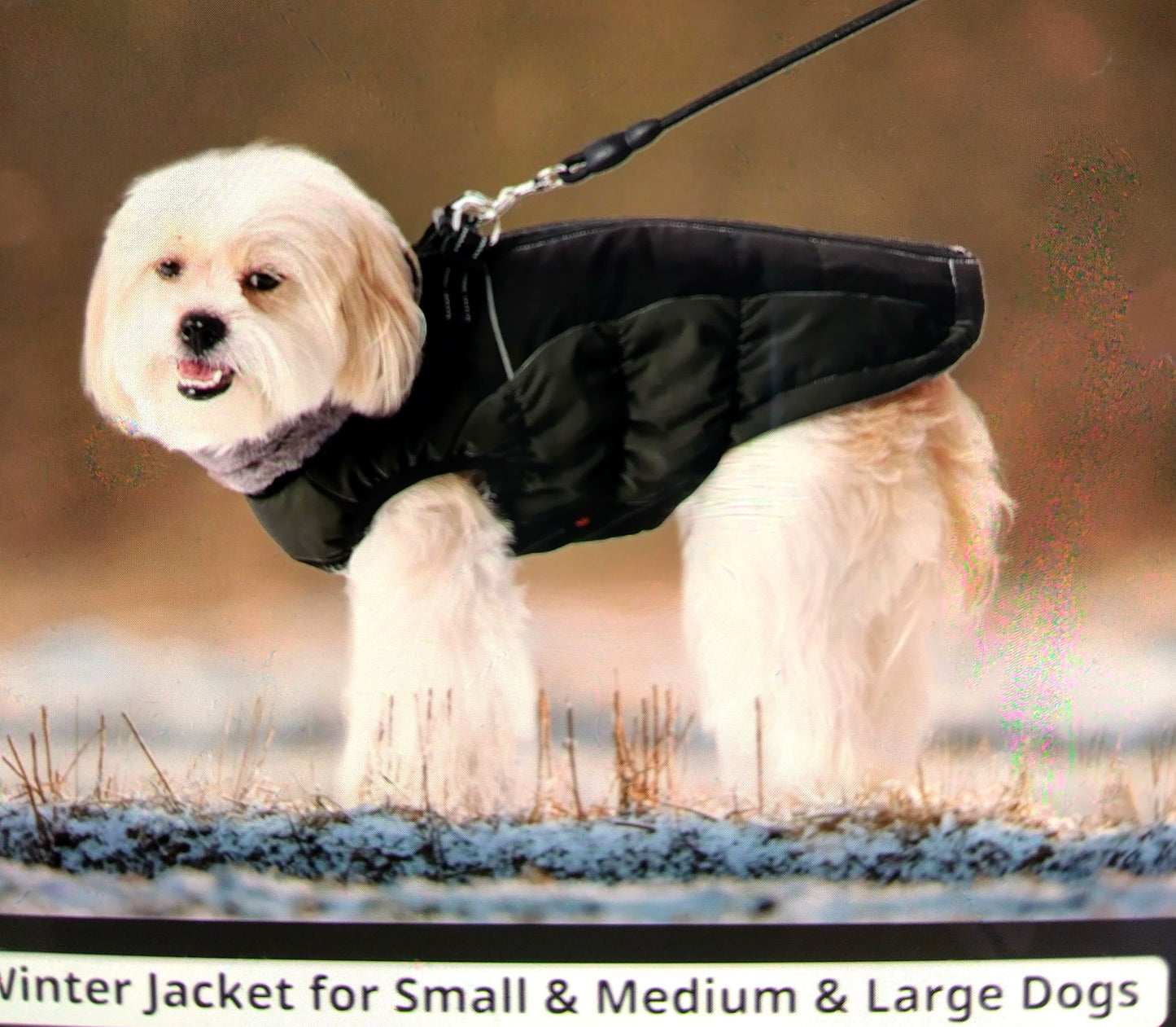 POSECA Dog Coat - Jacket Size Large. It’s the perfect combination of protection, comfort, and safety for your furry friend.