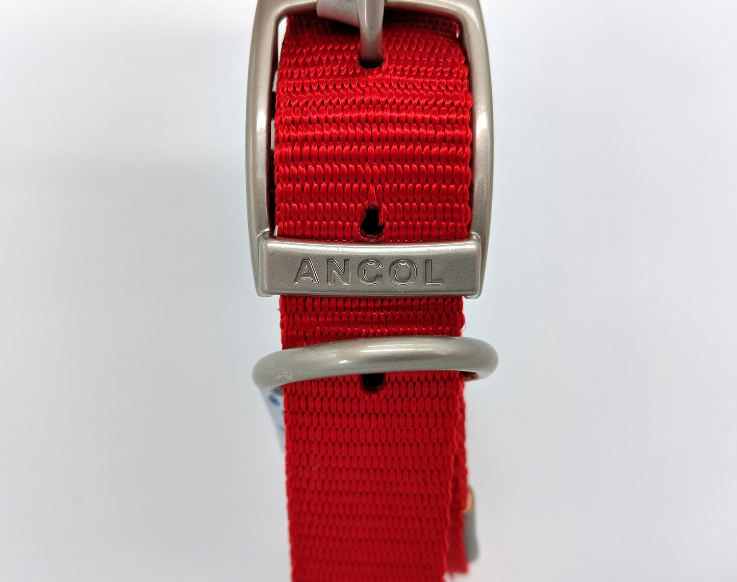 VIVA Dog Collar. Size 45cm - 54cm. Upgrade your dog's collar to the Ancol VIVA Padded Soft Touch Weather Proof Collar today.