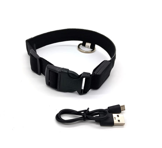 Led Safety Dog Collar USB Rechargeable. Size M. Keep your pet safe and visible with this Safety Pet Collar.