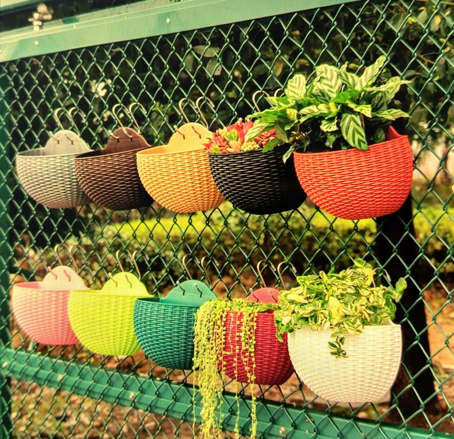 Wall Mounted Flower Pot. 21cmx16,5cm. Order Yours Today and Bring a Fresh Touch to Your Garden!