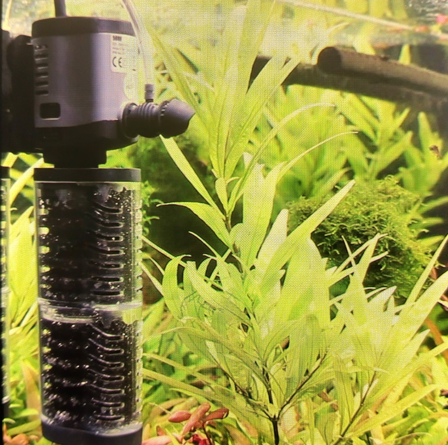 Sumbersible Filtration Pump 1000 IF. Order Now to Keep Your Aquarium Sparkling and Your Fish Thriving!