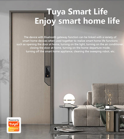 Tuya WiFi Smart Deadbolt Lock with Multiple Access Options