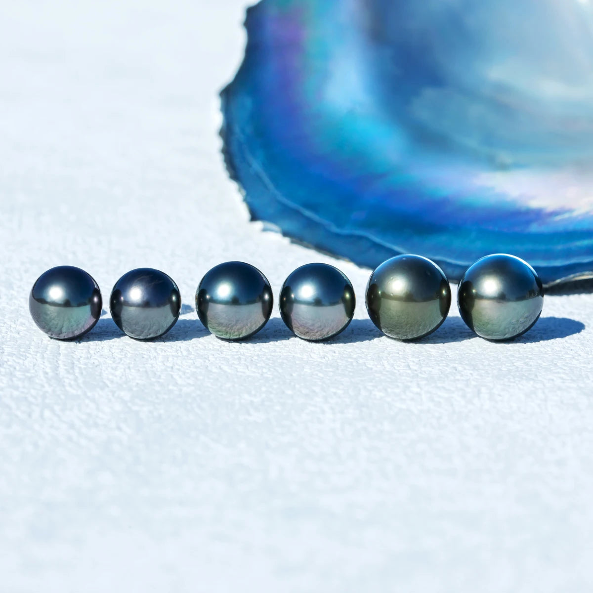 Natural Tahitian Pearl Stud Earrings.