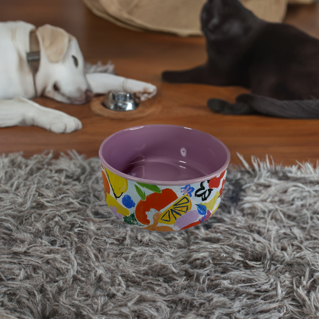 Ceramic Pet Bowl.  Upgrade your pet's dining experience with our Ceramic Pet Bowl.