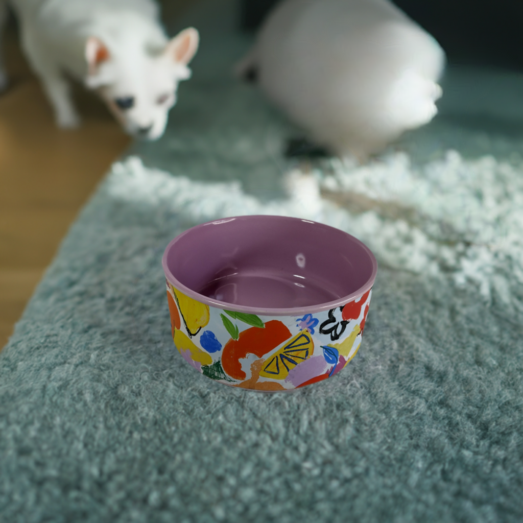 Ceramic Pet Bowl.  Upgrade your pet's dining experience with our Ceramic Pet Bowl.