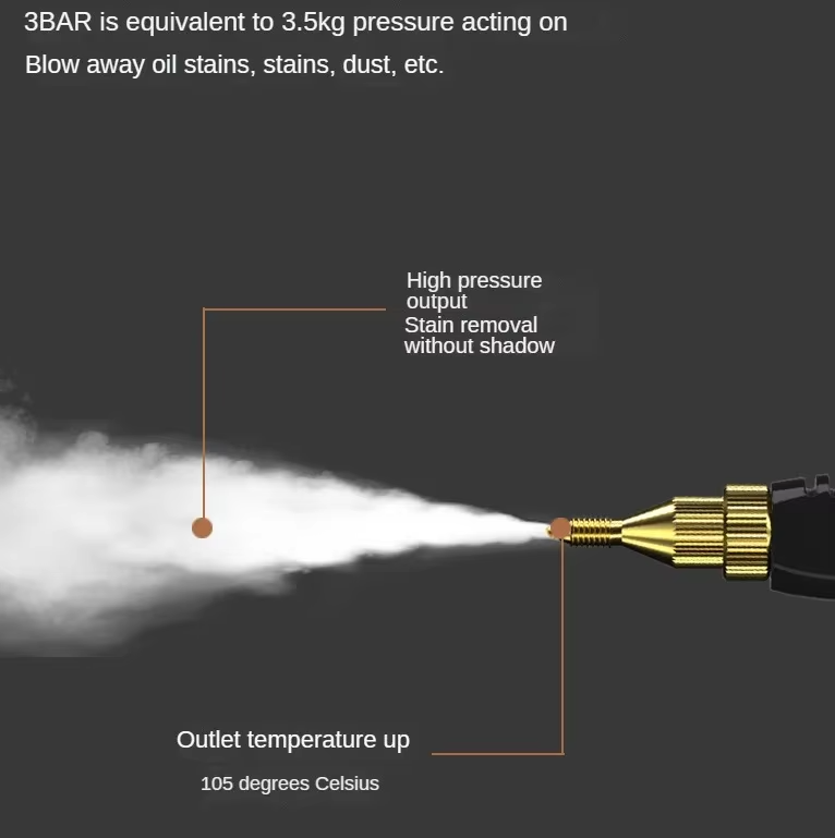 Steam Cleaner High Temperature Disinfection